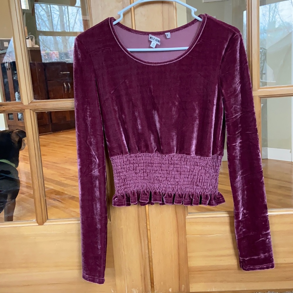 Maroon velvet long sleeve cropped top